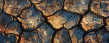 Panoramic close-up of dry, cracked soil illuminated by golden sunlight