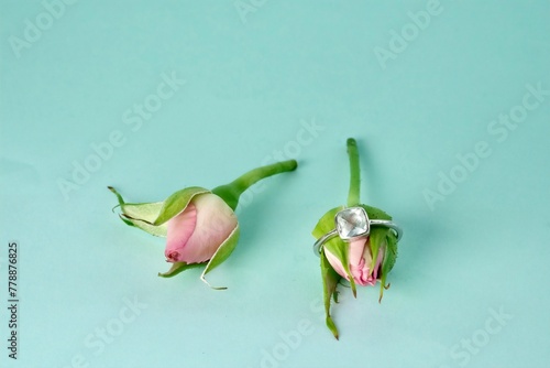 close-up of an engagement silver ring with a gemstone worn on a pink rose bud leaning next to other pink rose bud on an azure background