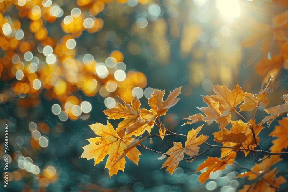 Golden autumn leaves cascade gracefully against a blurred park background, enhanced by beautiful bokeh. Authentic seasonal imagery Golden autumn leaves cascade gracefully against a blurred park background, enhanced by beautiful bokeh. Authentic seasonal imagery