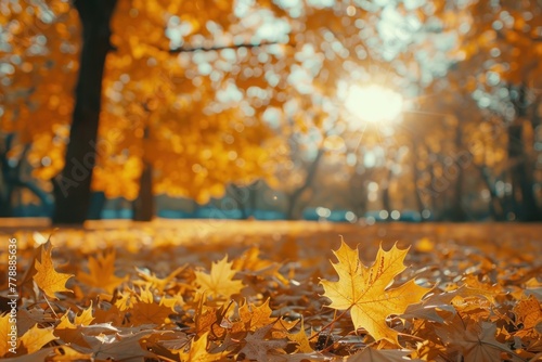 Splendid golden leaves adorn a tranquil park scene with enchanting bokeh. Authentic seasonal beauty