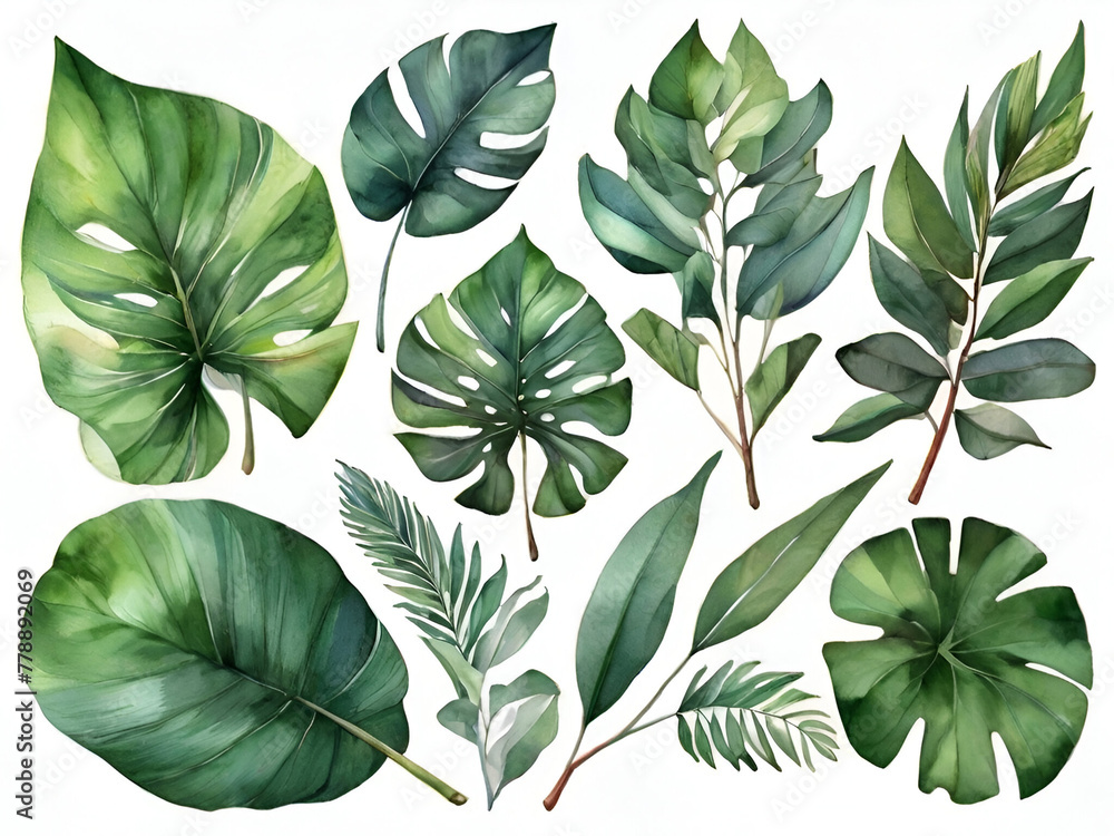 background illustration of various tropical leaves background illustration of various tropical leaves