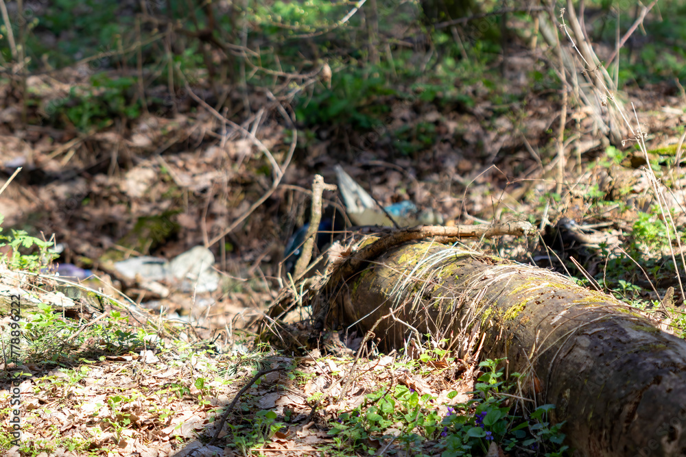 Garbage is thrown out in a nature reserve in the forest. Garbage is thrown out in a nature reserve in the forest.