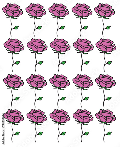 Rose pattern vectror illustration. Pink white rose patterns