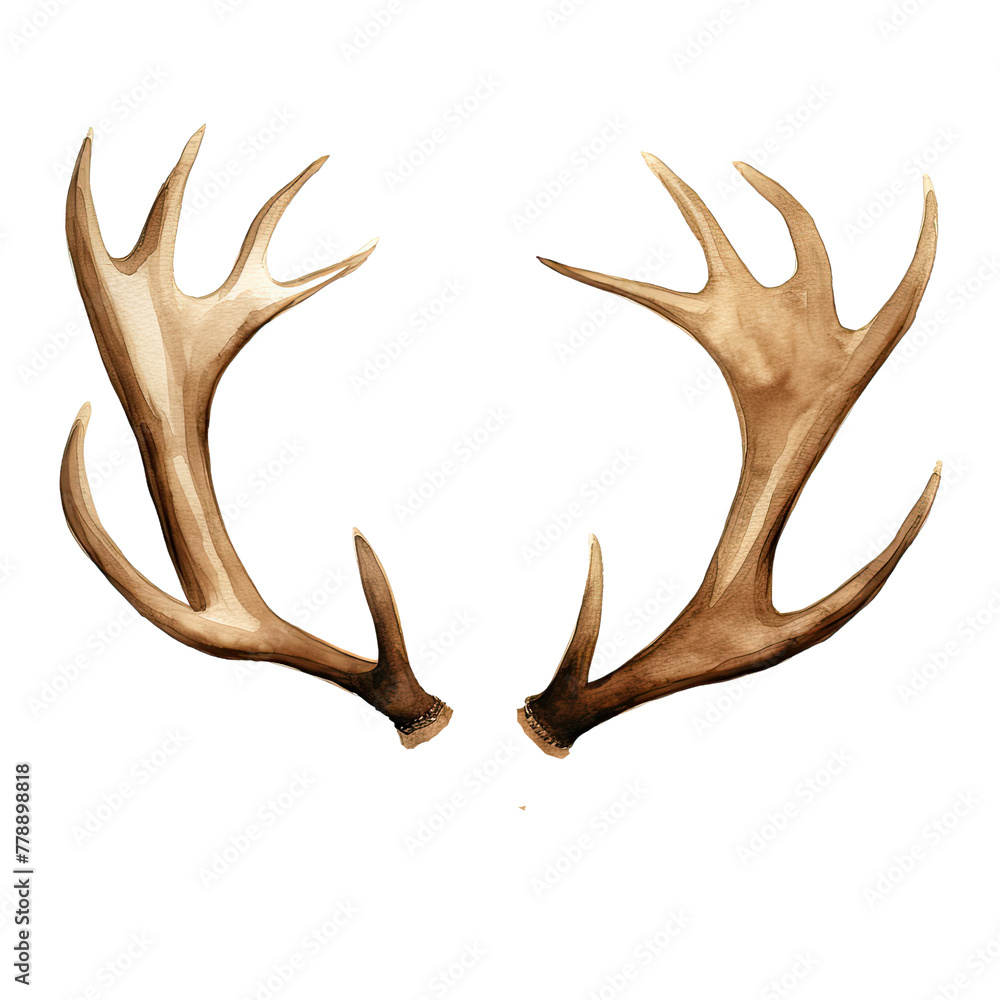 Fototapeta premium AI-generated watercolor deer's horn clip art illustration. Isolated elements on a white background.