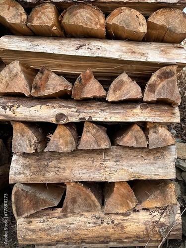 Logs stacked on top of each other form a neat and organized pile in a forest setting