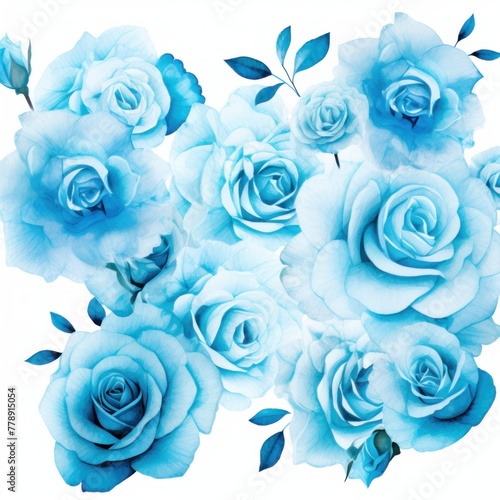 Cyan roses watercolor clipart on white background  defined edges floral flower pattern background with copy space for design text or photo backdrop minimalistic