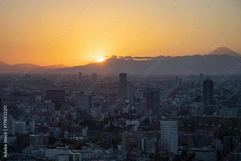 High angle night view of Tokyo, Japan, cityscape at dusk