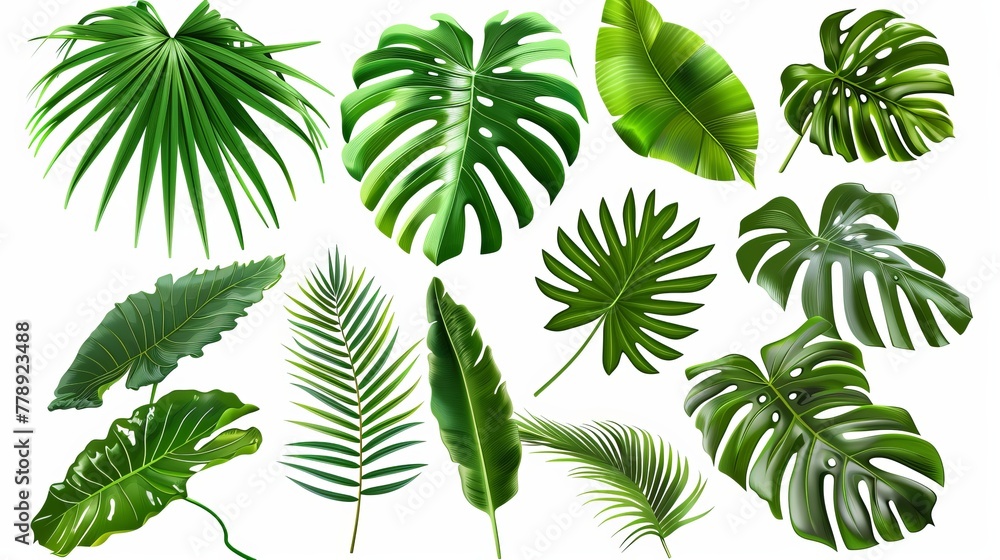 Tropical leaf modern set. Tropical leaf modern set.