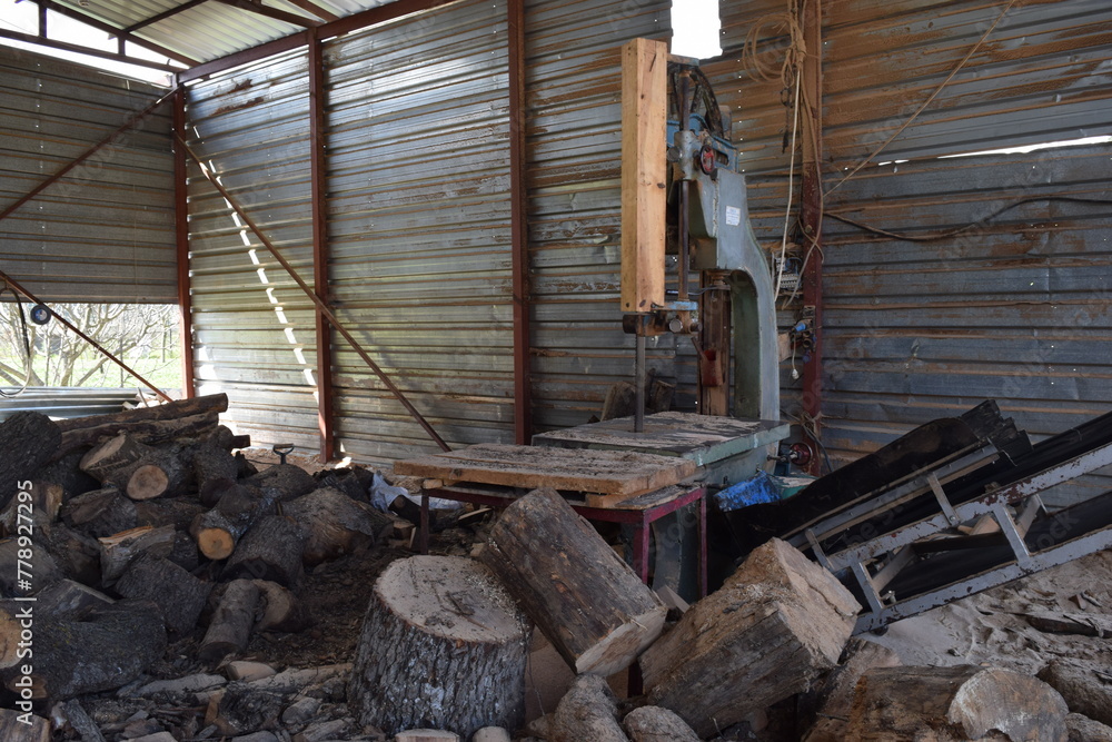 Chopping firewood. The process of harvesting firewood