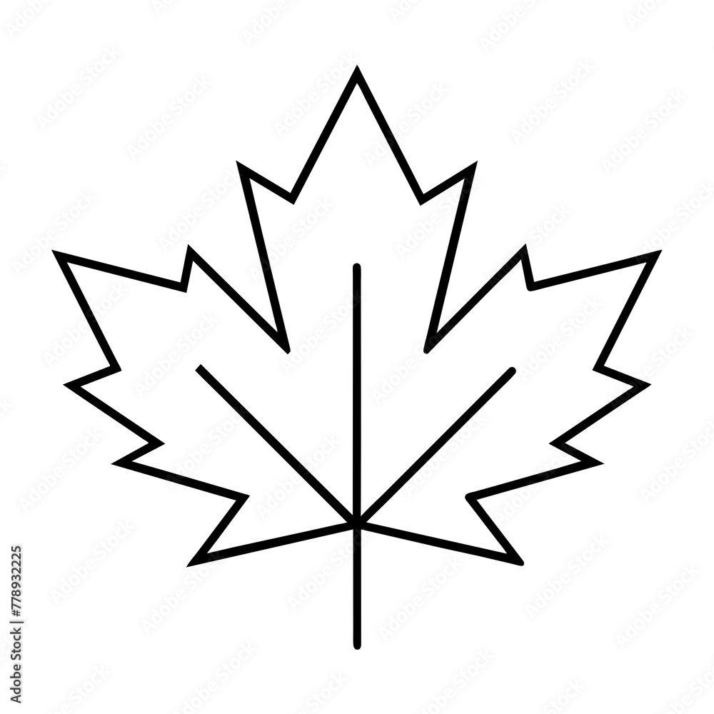 illustration of a maple leaf illustration of a maple leaf