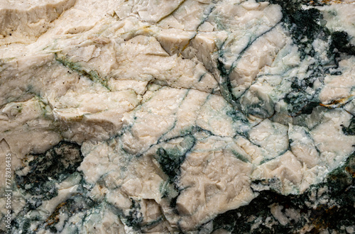 White limestone texture with black mineral vien