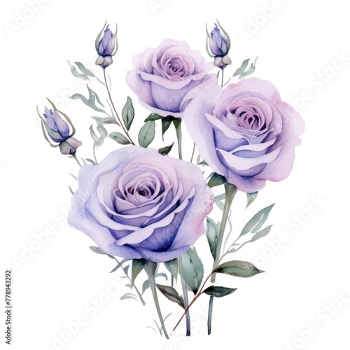 Lavender roses watercolor clipart on white background  defined edges floral flower pattern background with copy space for design text or photo backdrop minimalistic 