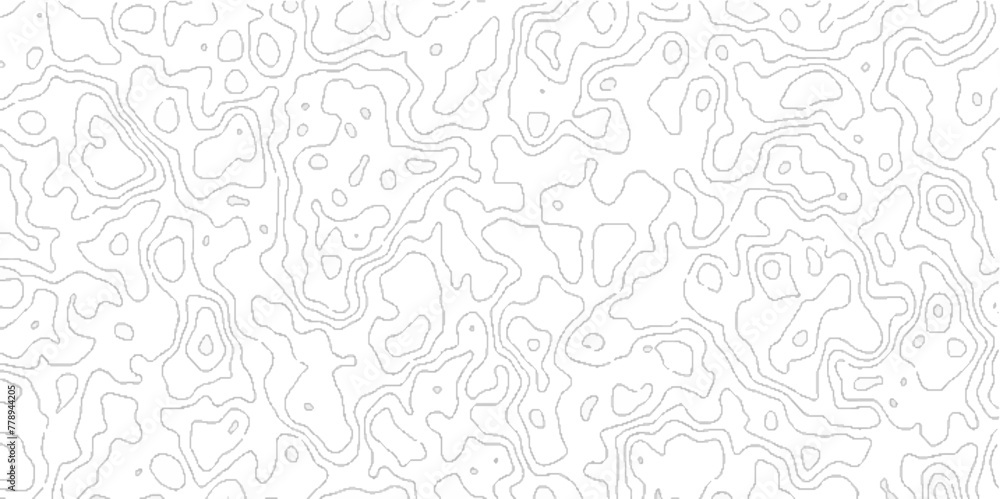 Abstract Topographic map background with wave line, topographic contours map background with geometric lines, Blank Detailed Topographic Contour Map.