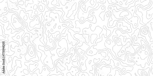 Abstract Topographic map background with wave line, topographic contours map background with geometric lines, Blank Detailed Topographic Contour Map.