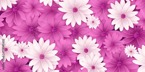 Magenta and white daisy pattern, hand draw, simple line, flower floral spring summer background design with copy space for text or photo backdrop  © Celina