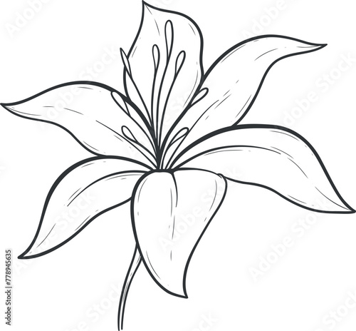 A flower with a stem is drawn in black