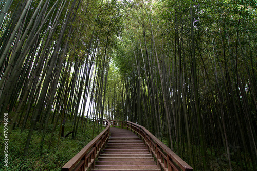 the wooden stairway in the bamboo forest