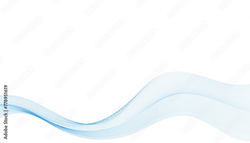 Fototapeta premium Web