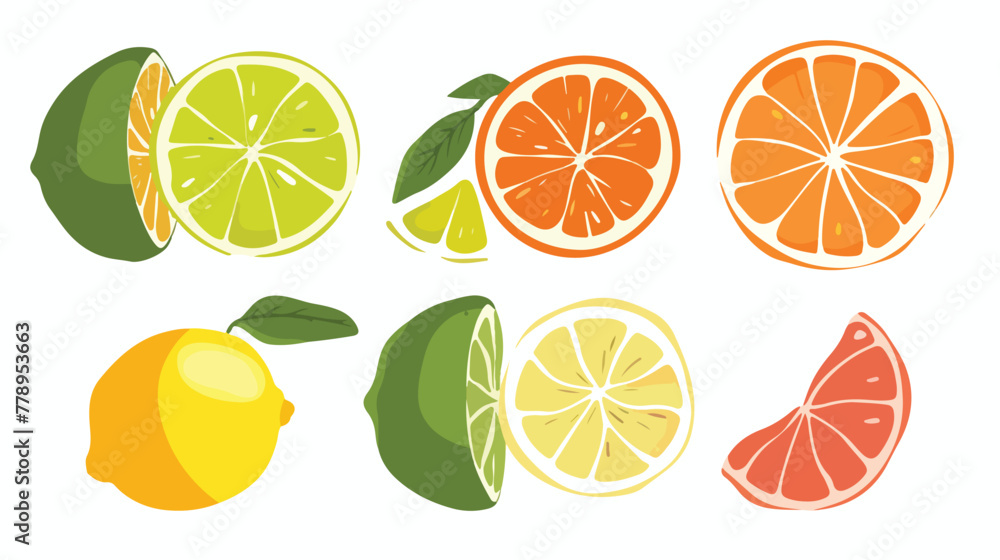 Set of ripe citrus fruits - orange lemon lime grape