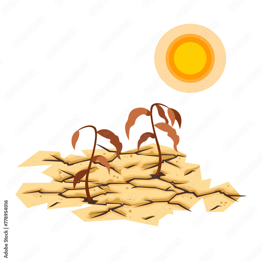 dead plants on dry earth with the sun above - obrazy, fototapety, plakaty 