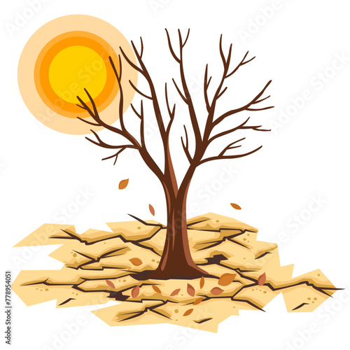 dead tree on dry earth with fallen leaves on a hot day