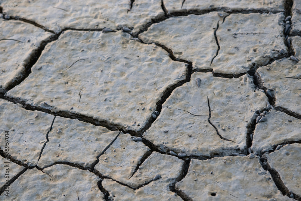 Fototapeta premium Nature texture - Mud crack, Cracks on the surface of the soil Caused by the shrinkage of the mud due to the dryness of the terrain. Gray Mud crack.