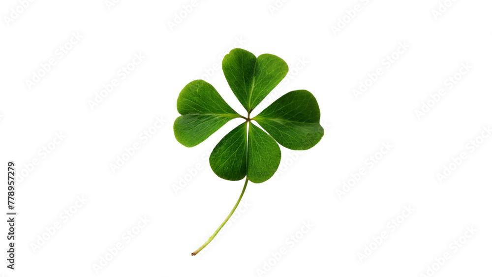 Clover leaf isolated on transparent background. St.Patrick's Day Clover leaf isolated on transparent background. St.Patrick's Day