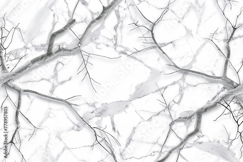 A seamless pattern of white Carrara marble, with delicate grey veins branching out like the limbs of ancient trees. 32k, full ultra HD, high resolution photo