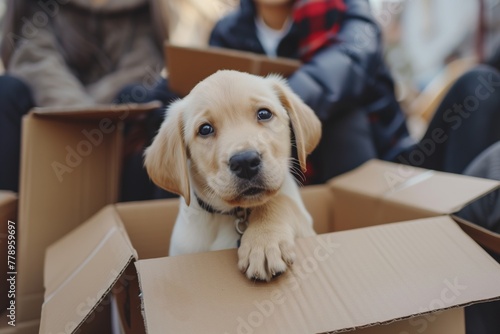 Family with kids and pets moving to new home, cute dog sitting in cardboard box 