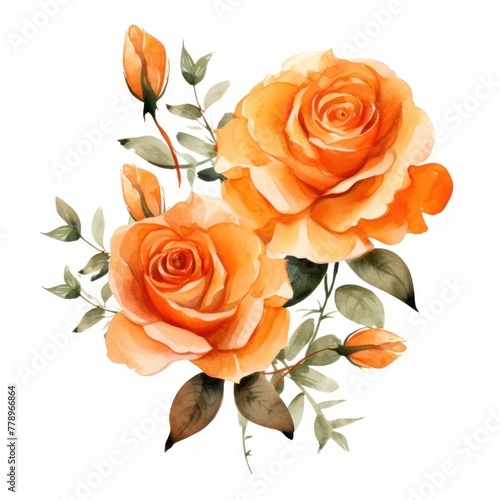 Orange roses watercolor clipart on white background  defined edges floral flower pattern background with copy space for design text or photo backdrop minimalistic 