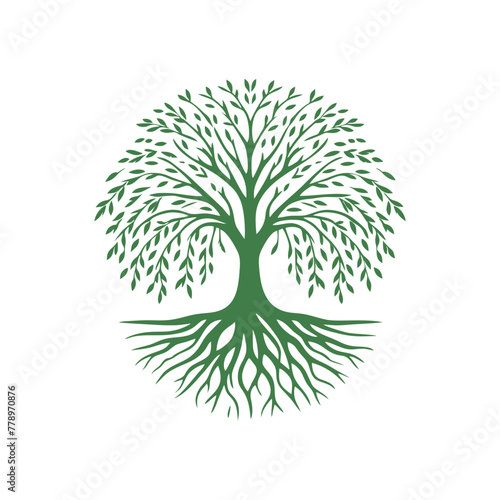 Root tree logo vector. Root of the tree vector logo symbol illustration design, oak tree vintage logo design