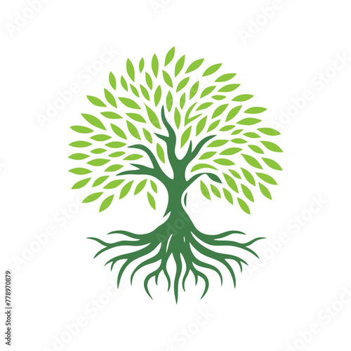 Root tree logo vector. Root of the tree vector logo symbol illustration design, oak tree vintage logo design