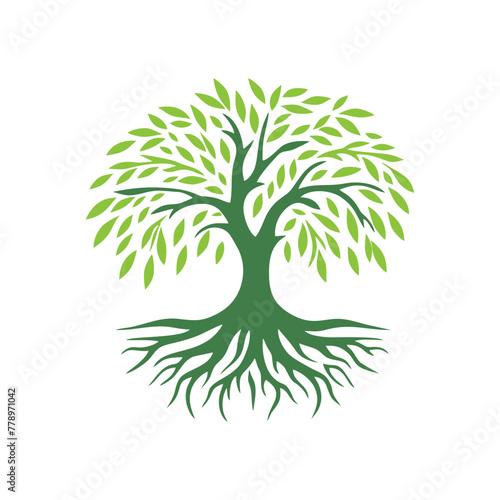 Root tree logo vector. Root of the tree vector logo symbol illustration design, oak tree vintage logo design