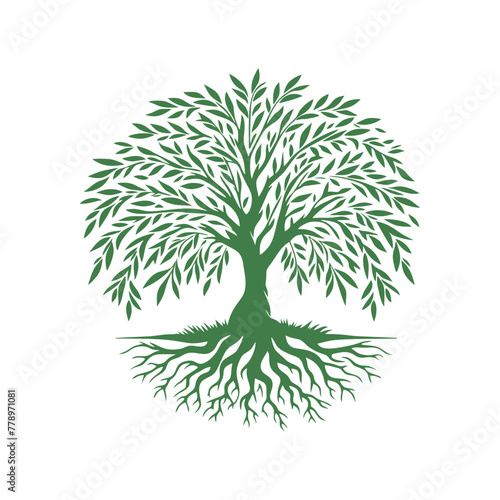 Root tree logo vector. Root of the tree vector logo symbol illustration design, oak tree vintage logo design