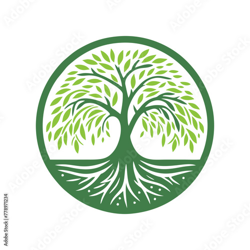 Root tree logo vector. Root of the tree vector logo symbol illustration design, oak tree vintage logo design