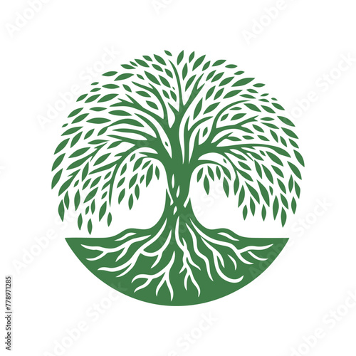 Root tree logo vector. Root of the tree vector logo symbol illustration design, oak tree vintage logo design