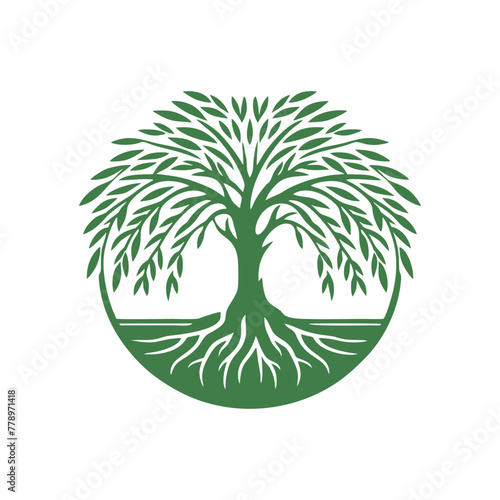 Root tree logo vector. Root of the tree vector logo symbol illustration design, oak tree vintage logo design