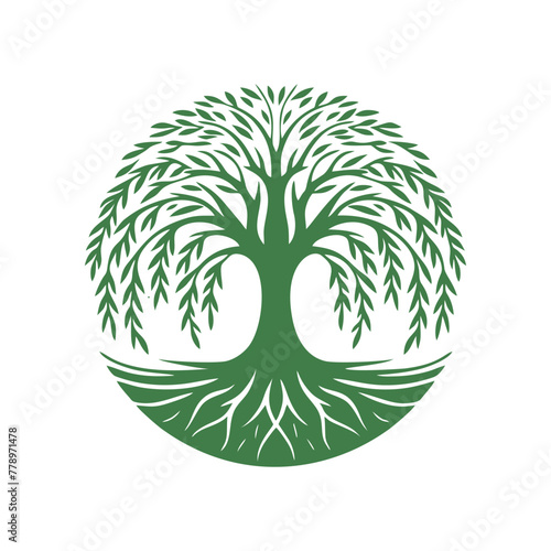 Root tree logo vector. Root of the tree vector logo symbol illustration design, oak tree vintage logo design