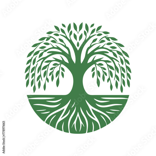 Root tree logo vector. Root of the tree vector logo symbol illustration design, oak tree vintage logo design