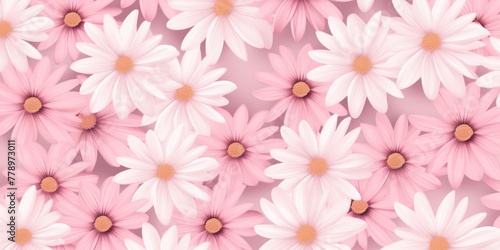 Pink and white daisy pattern  hand draw  simple line  flower floral spring summer background design with copy space for text or photo backdrop 