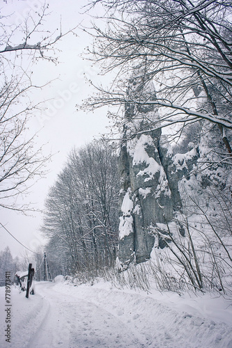 Winter landscape. A road in a snowy winter forest