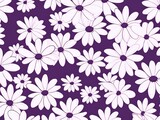 Purple and white daisy pattern, hand draw, simple line, flower floral spring summer background design with copy space for text or photo backdrop 