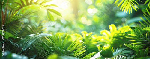 Banner, green nature background, leaves of tropical plants in the sun. Copy space.  © Katerina Bond
