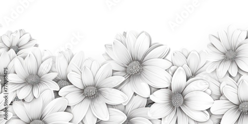 Silver and white daisy pattern  hand draw  simple line  flower floral spring summer background design with copy space for text or photo backdrop