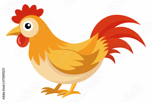 chicken vector illustration  © Jutish