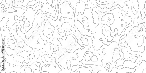 Abstract Topographic map background with wave line  topographic contours map background with geometric lines  Blank Detailed Topographic Contour Map.