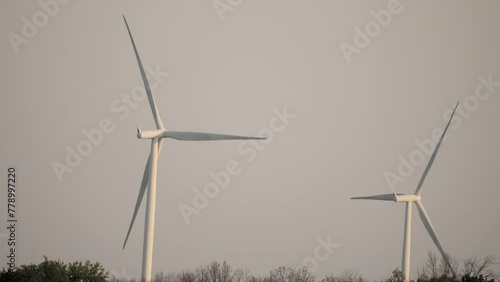 Windmills in the morning