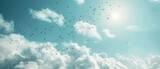 Cloudy sky with swarms of birds. Beautiful birds flying in the sky.
