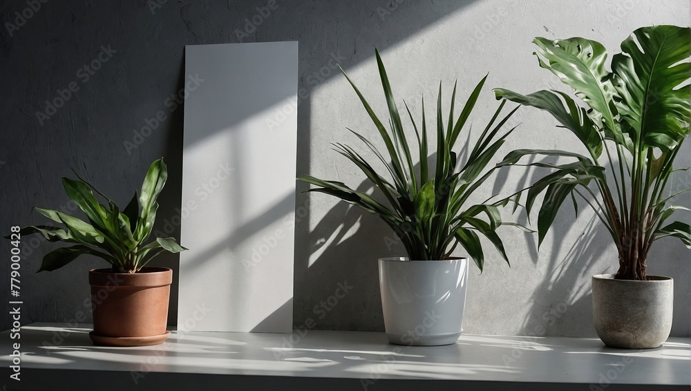 Mockup overlay with the plant shadows, Natural light casts shadows from an exotic plant, Horizontal orientation