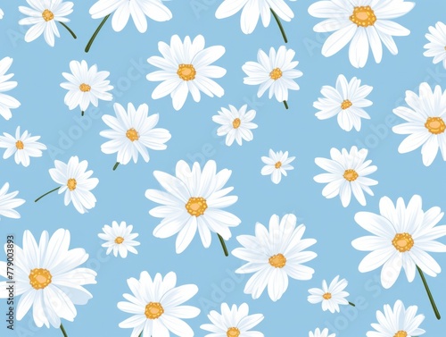 Sky Blue and white daisy pattern  hand draw  simple line  flower floral spring summer background design with copy space for text or photo backdrop 